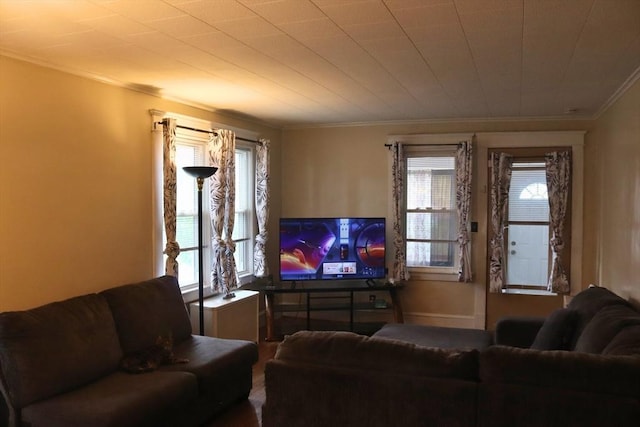 27 Bushwick Pl, Springfield, MA 01109 - living room featuring ornamental molding