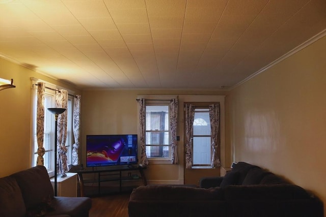 27 Bushwick Pl, Springfield, MA 01109 - living area featuring ornamental molding and wood finished floors
