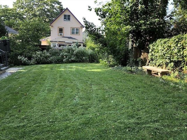 view of grassy yard