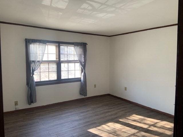 45-47 Middlefield Rd, Chester, MA 01011 - empty room with wood finished floors, crown molding, and baseboards
