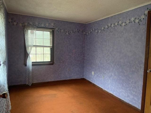 45-47 Middlefield Rd, Chester, MA 01011 - empty room with crown molding, carpet, and baseboards