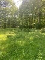 45-47 Middlefield Rd, Chester, MA 01011 - view of undeveloped land