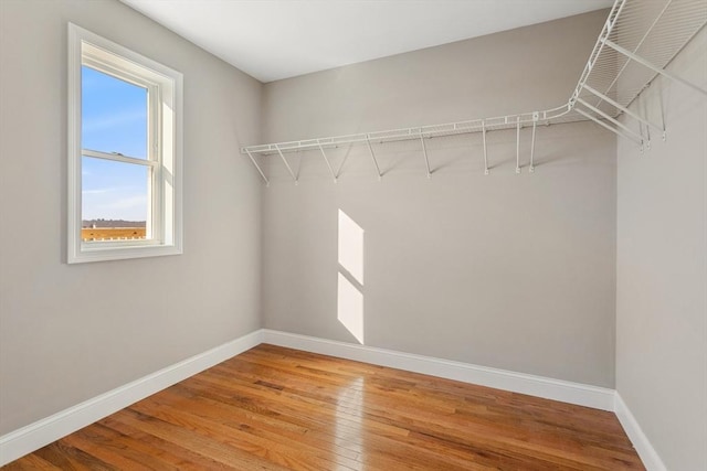 walk in closet with hardwood / wood-style flooring