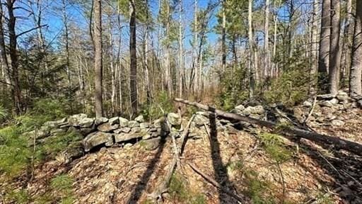 0 Carter Pond Rd, Petersham, MA 01366