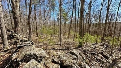 0 Carter Pond Rd, Petersham, MA 01366