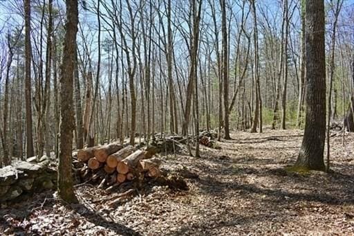0 Carter Pond Rd, Petersham, MA 01366