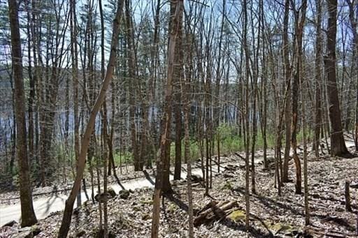 0 Carter Pond Rd, Petersham, MA 01366