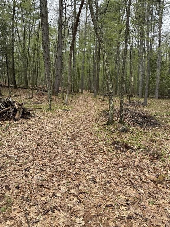 0 Carter Pond Rd, Petersham, MA 01366