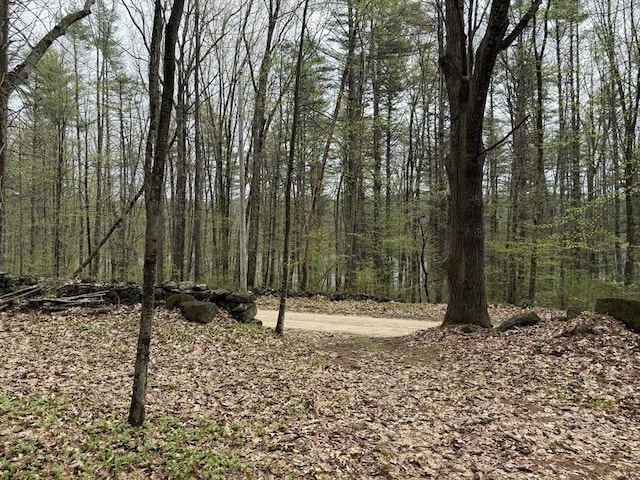 0 Carter Pond Rd, Petersham, MA 01366