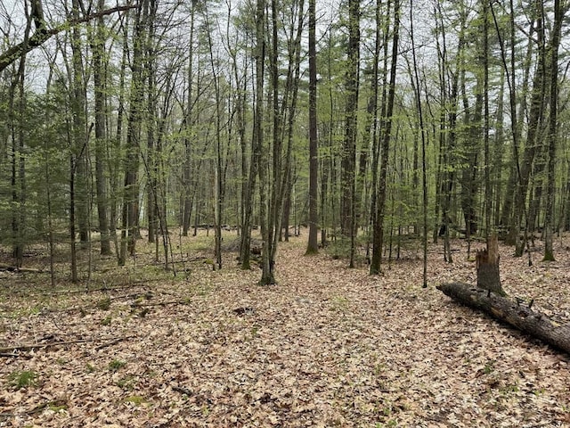 0 Carter Pond Rd, Petersham, MA 01366