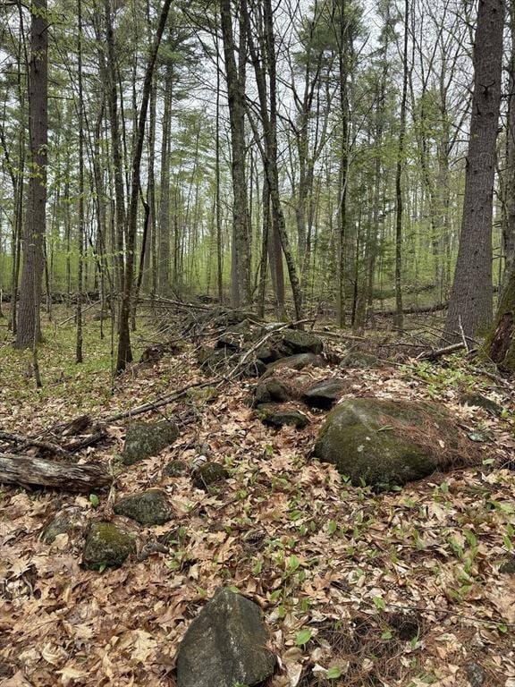 0 Carter Pond Rd, Petersham, MA 01366