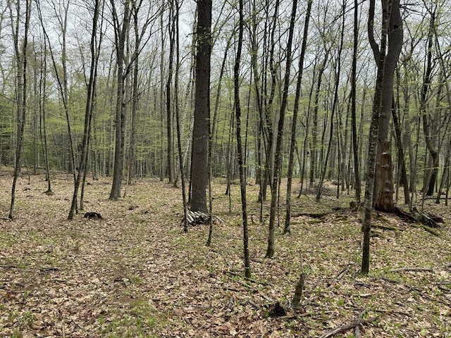 0 Carter Pond Rd, Petersham, MA 01366