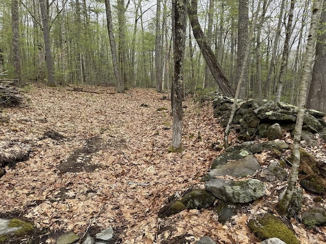 0 Carter Pond Rd, Petersham, MA 01366