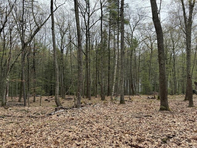 0 Carter Pond Rd, Petersham, MA 01366