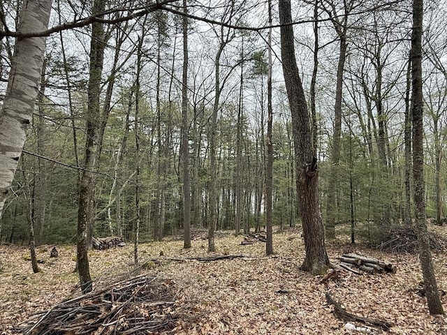 0 Carter Pond Rd, Petersham, MA 01366