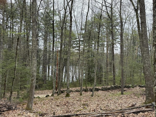 0 Carter Pond Rd, Petersham, MA 01366