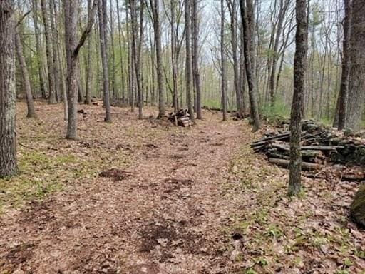 0 Carter Pond Rd, Petersham, MA 01366
