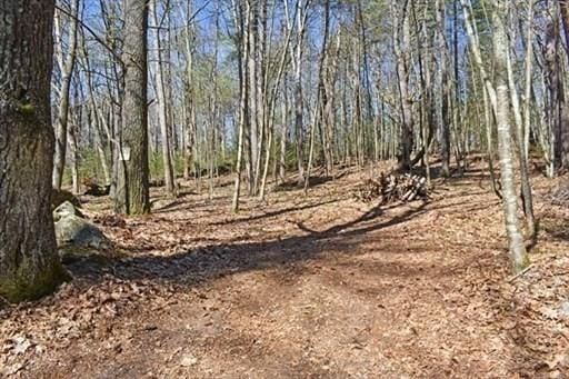 0 Carter Pond Rd, Petersham, MA 01366