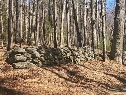 0 Carter Pond Rd, Petersham, MA 01366