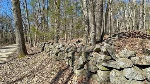 0 Carter Pond Rd, Petersham, MA 01366