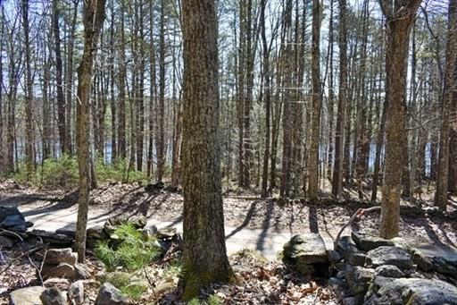 0 Carter Pond Rd, Petersham, MA 01366