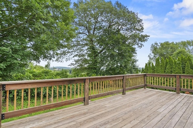 112 Brookline St, Worcester, MA 01603 - view of wooden terrace