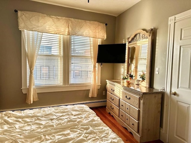 bedroom featuring dark wood finished floors