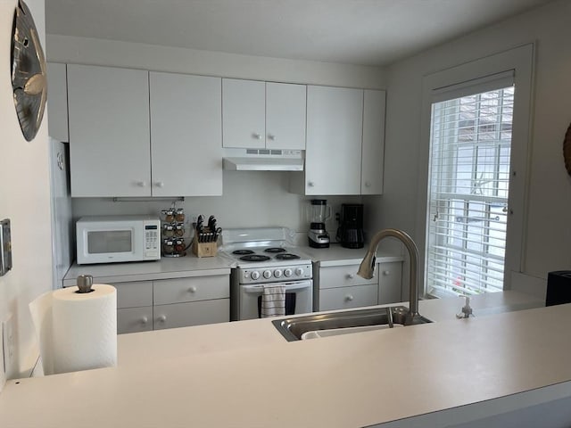 17 Hydrangea Ln Unit 786, Mashpee, MA 02649 - kitchen with white appliances, under cabinet range hood, a sink, and light countertops