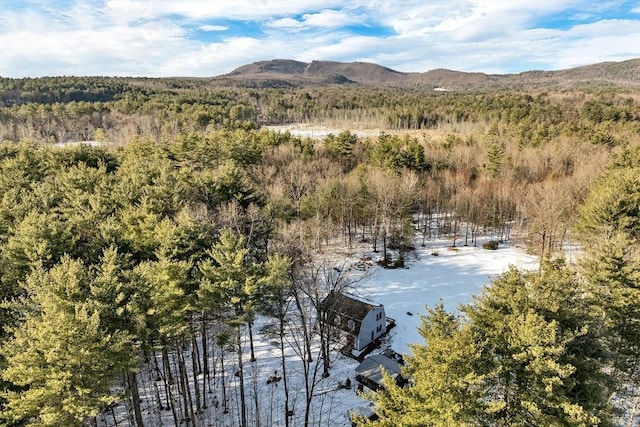 drone / aerial view with a forest view and a mountain view