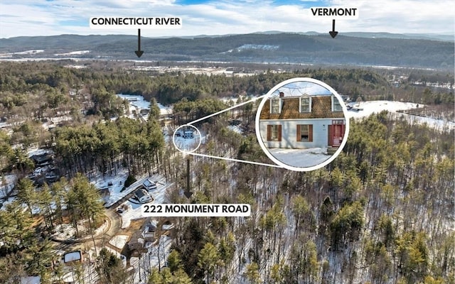 birds eye view of property with a mountain view and a forest view