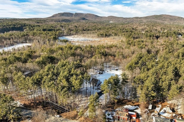 aerial view featuring a view of trees and a mountain view