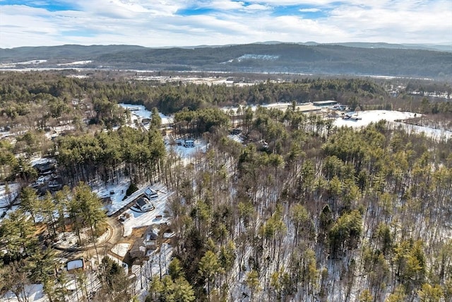 aerial view featuring a view of trees and a mountain view