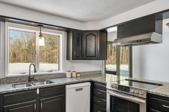 kitchen featuring dark cabinets, stainless steel electric range oven, exhaust hood, white dishwasher, and a sink