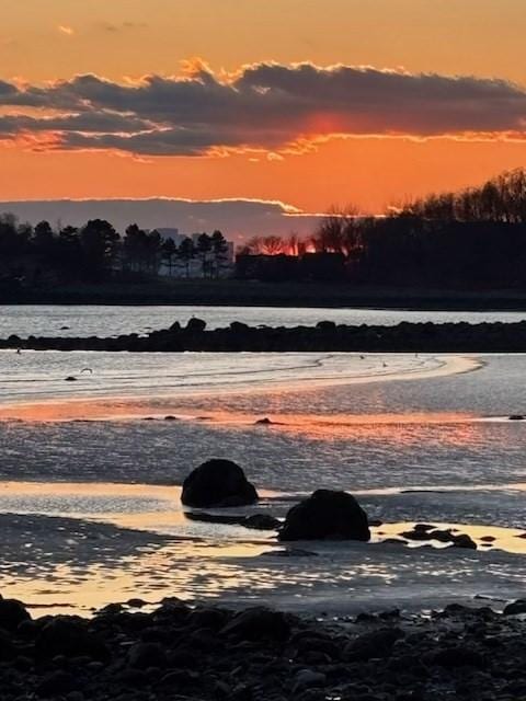 64 Pond St, Nahant, MA 01908 - water view featuring nearby beach