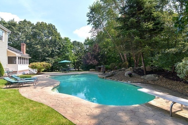 pool featuring a sunroom, a patio, and a diving board