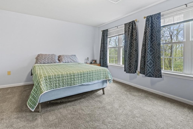 96 Caspian Way Unit 96, Fitchburg, MA 01420 - bedroom with carpet and baseboards