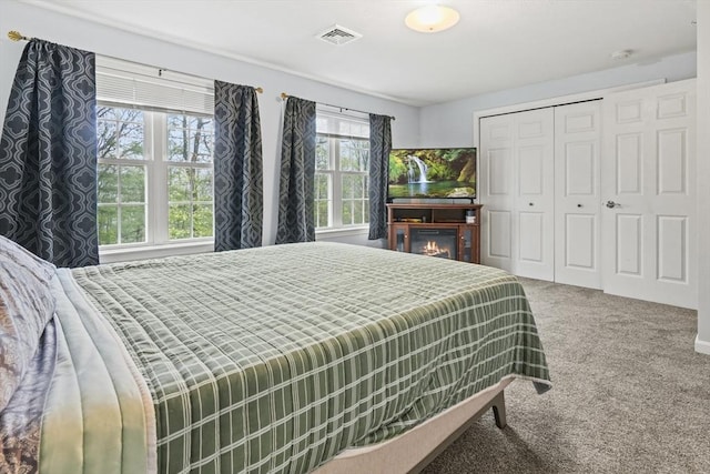 96 Caspian Way Unit 96, Fitchburg, MA 01420 - carpeted bedroom with a closet