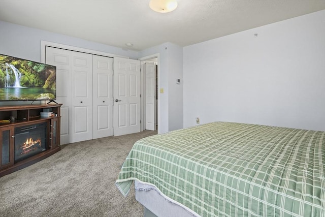 96 Caspian Way Unit 96, Fitchburg, MA 01420 - bedroom with carpet, a closet, and a glass covered fireplace