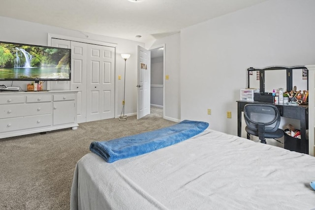 96 Caspian Way Unit 96, Fitchburg, MA 01420 - bedroom with carpet flooring and a closet