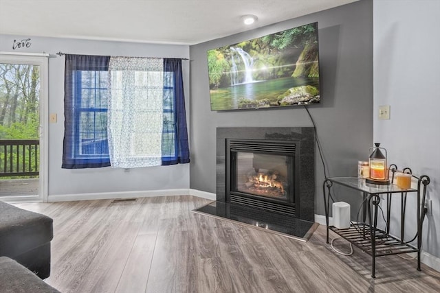 96 Caspian Way Unit 96, Fitchburg, MA 01420 - living area with wood finished floors, baseboards, and a glass covered fireplace