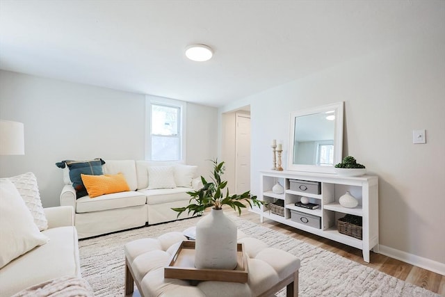 living room with hardwood / wood-style floors