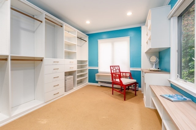 living area with ornamental molding and light colored carpet