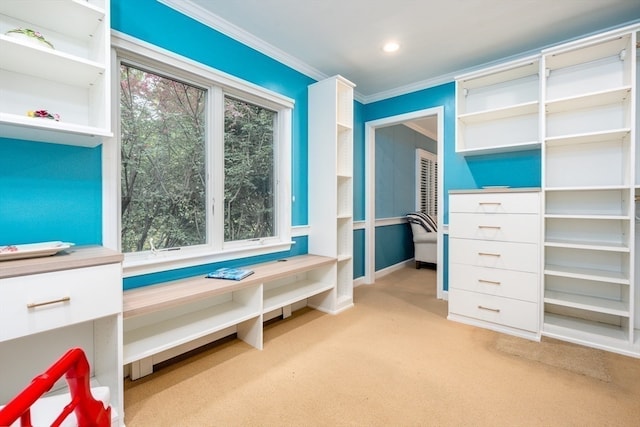 spacious closet with light colored carpet