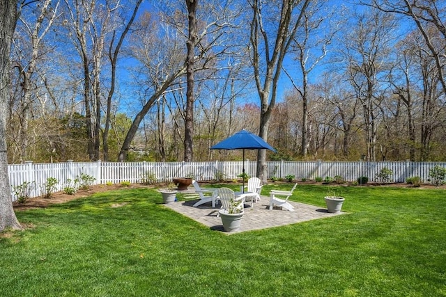 view of yard with a fenced backyard and a patio