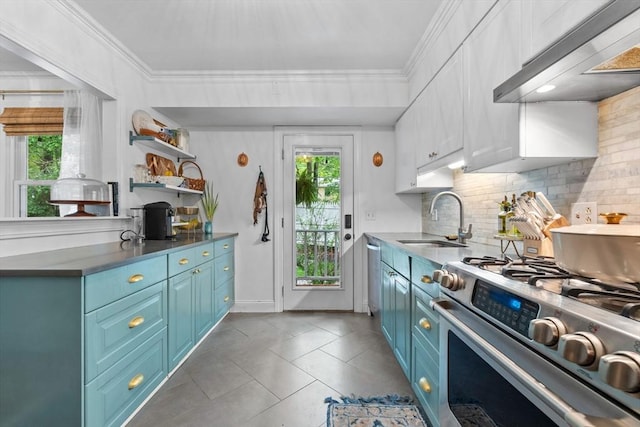 2313 Washington St, Holliston, MA 01746 - kitchen featuring appliances with stainless steel finishes, range hood, blue cabinets, a sink, and crown molding