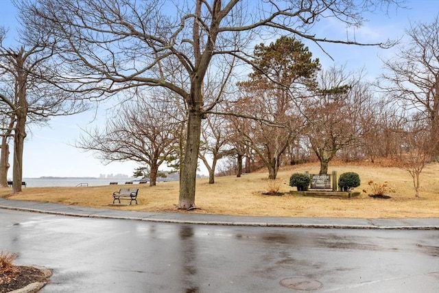 view of yard with a water view