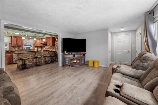 living room with light hardwood / wood-style floors