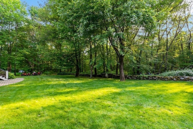 218 Pine St, Rehoboth, MA 02769 - view of green lawn
