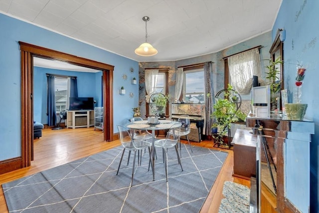 14 Halmstad, Worcester, MA 01607 - dining space with wood finished floors, ornamental molding, and baseboards