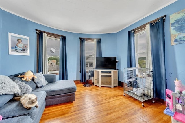 14 Halmstad, Worcester, MA 01607 - living area featuring light wood-style floors and ornamental molding